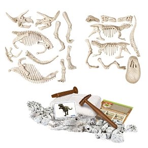 DINOSAURS SET APP - SCIENZA & GIOCO