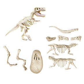 Dinosaurs T-Rex - Scienza & Gioco
