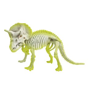 Dinosaurs Triceratops - Scienza & Gioco