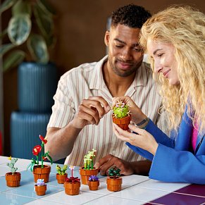 LEGO Icons Botanical Collection Μικροσκοπικά Φυτά 10329 - 758 Τεμάχια