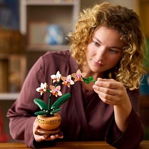 LEGO Botanicals Μίνι Ορχιδέα 10343 – 274 Τεμάχια