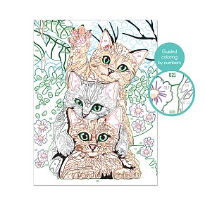 ΕΡΓΑΣΤΗΡΙΟ ΖΩΓΡΑΦΙΚΗΣ Paint & Frame Funny Kitties