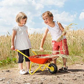 Rolly Metal Wheelbarrow