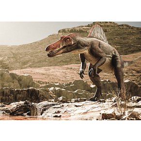 Dinosaurs 1 puzzle 117 pieces