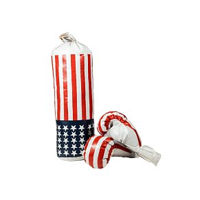 Boxing Bag with Gloves