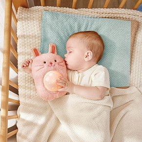Hape Pal-Huggy Roro White Noise Sound Pink