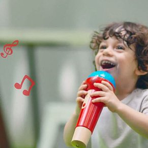 Hape Ξύλινο Μικρόφωνο Mighty Echo