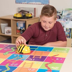 Bee Bot, Η “Εξυπνη Μέλισσα”