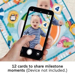 Fisher-Price® Dive Right In™ Activity Mat