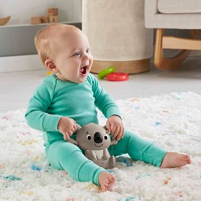 Fisher Price Φορητό Περιστρεφόμενο με Ζωάκια 3 σε 1