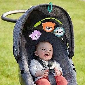 Fisher Price Φορητό Περιστρεφόμενο με Ζωάκια 3 σε 1
