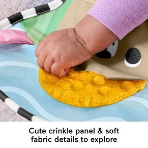 Fisher-Price Sensory Adventures Μαξιλάρι Tummy Time με Μασητικό & Κουδουνίστρα