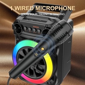 SING-E ZQS606S Bluetooth Ηχείο Party 6.5" με Μικρόφωνο