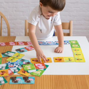 APLI Kids Farm domino house box