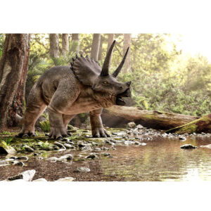 Dinosaurs 2 puzzle 117 pieces