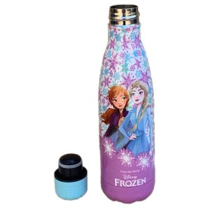 Frozen Stainless Steel Water Bottle 500ml