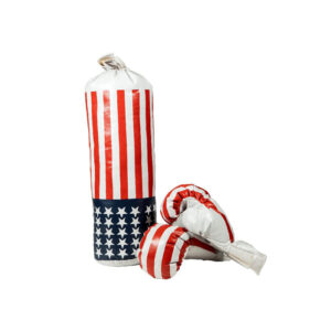Boxing Bag with Gloves