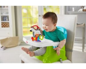 Fisher-Price® Activity Zebra
