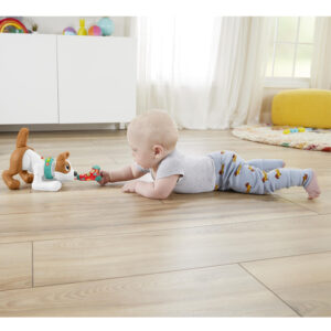 Fisher-Price® 123 Crawl With Me Puppy