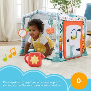 Fisher-Price® 3-in-1 Crawl & Play Activity Gym
