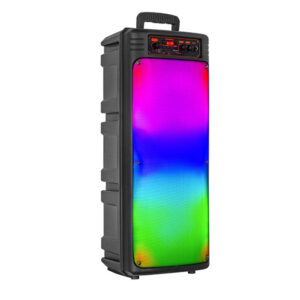 Portable Bluetooth Karaoke Speaker 2x 8”