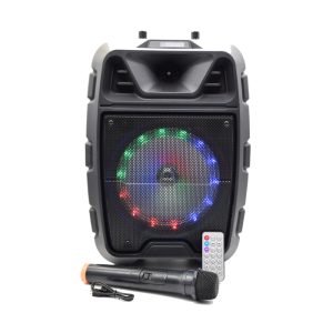 Portable Bluetooth Karaoke Speaker 8” BT Wireless