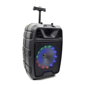 Portable Bluetooth Karaoke Speaker 8” BT Wireless